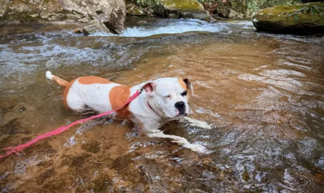 Morgantown woman wins two top prizes in photo contest